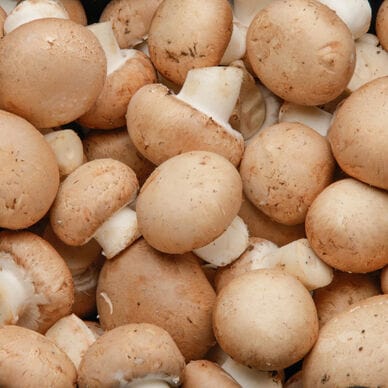 Champignons Brun pieds coupés Bio - 250g Lo Champi Bio vrac-zero-dechet-ecolo-saint-andre-cubza