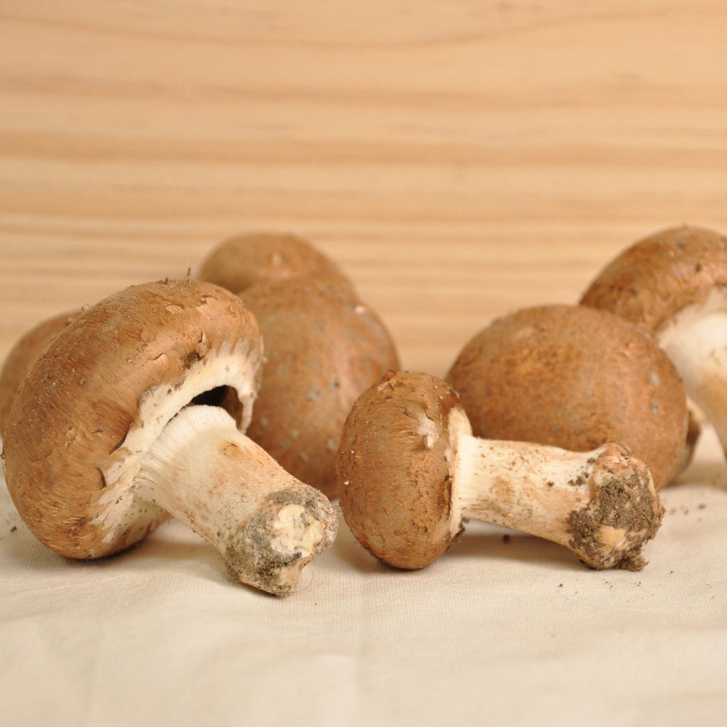 Champignons de Paris bruns BIO - 250g PRONADIS FL vrac-zero-dechet-ecolo-saint-andre-cubza