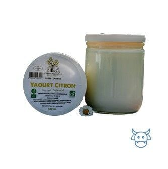 ANTI GASPI Yaourt aromatise Citron - GRAND FORMAT (430g) DATE 1 JUIN 