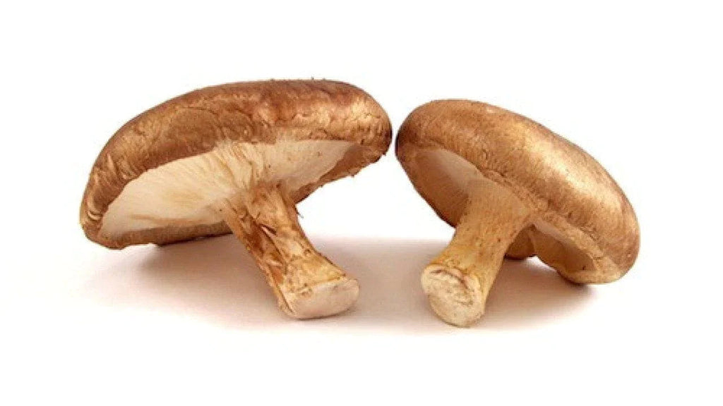 Champignons Shiitakés (190g min) - BIO PRONADIS FL vrac-zero-dechet-ecolo-saint-andre-cubza