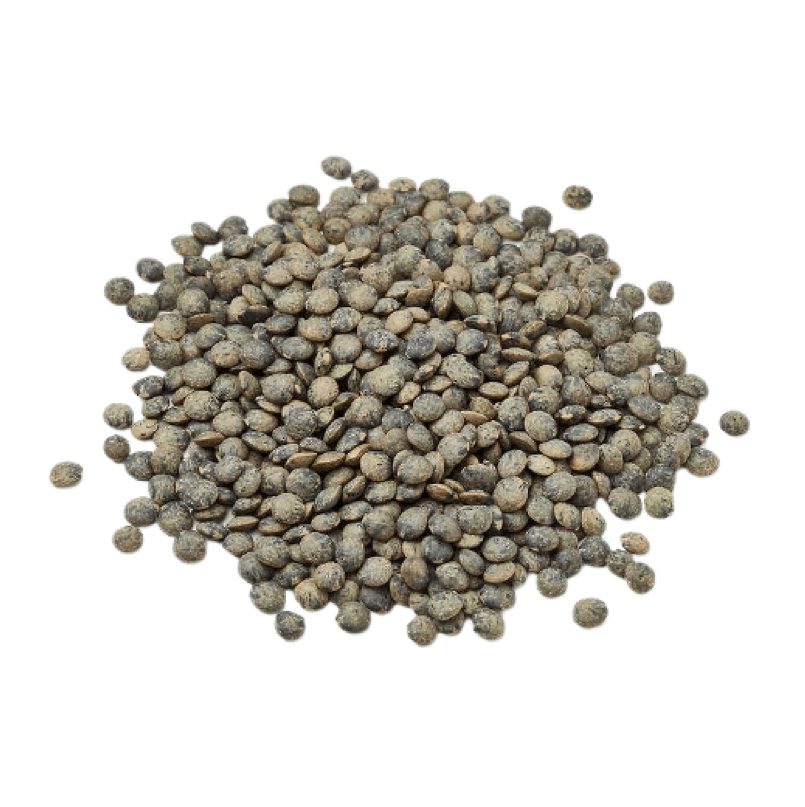 Lentilles vertes du Sud-Ouest (500g) - BIO Monbio vrac-zero-dechet-ecolo-saint-andre-cubza