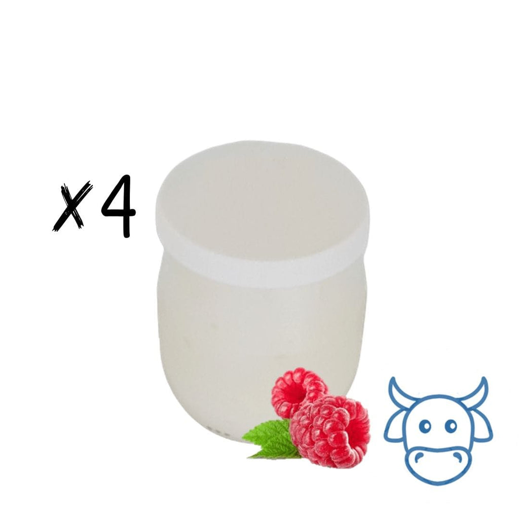 Lot 4 Yaourts aromatisés framboise (125g x 4) L'atelier du lait vrac-zero-dechet-ecolo-saint-andre-cubza