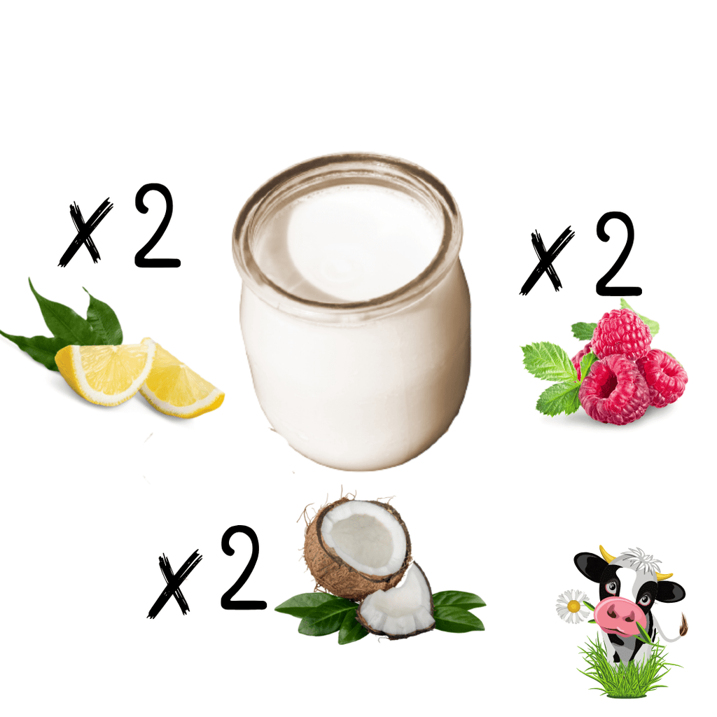 Lot 6 Yaourts aromatisés Parfums: Citron, framboise, coco (125g) L'atelier du lait vrac-zero-dechet-ecolo-saint-andre-cubza