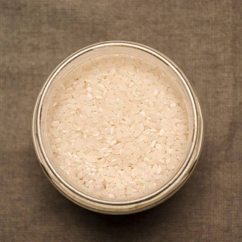 Riz Rond blanc BIO - 500g Priméal vrac-zero-dechet-ecolo-saint-andre-cubza