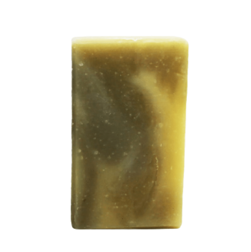 Savon Éclat Végétal - Eucalyptus (100g) - BIO Bélice vrac-zero-dechet-ecolo-saint-andre-cubza